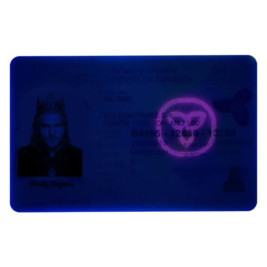 Ontario Fake Dirvers Licence (2025 version)