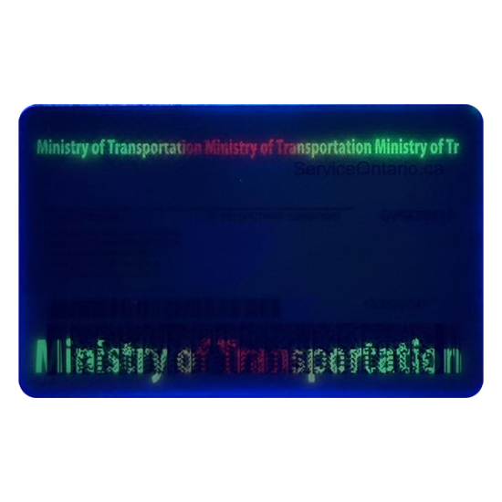 Ontario Fake Dirvers Licence (2025 version)