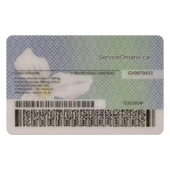 Ontario Fake Dirvers Licence (2025 version)