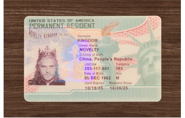 AMERICAN GREEN CARD (2025 VERSION)