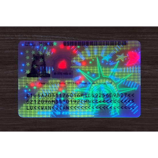 AMERICAN GREEN CARD (2025 VERSION)