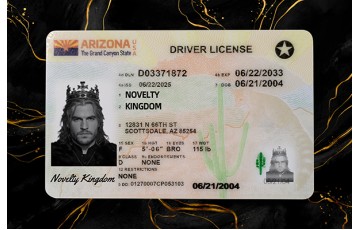 ARIZONA FAKE IDS (2025 VERSION)