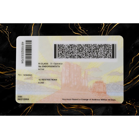 ARIZONA FAKE IDS (2025 VERSION)