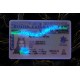 BRITISH COLUMBIA FAKE IDS (2025 VERSION)