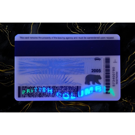BRITISH COLUMBIA FAKE IDS (2025 VERSION)