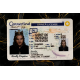Connecticut Fake IDs