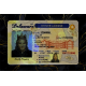 Delaware Fake IDs