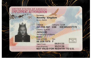 Employment Authorization Card