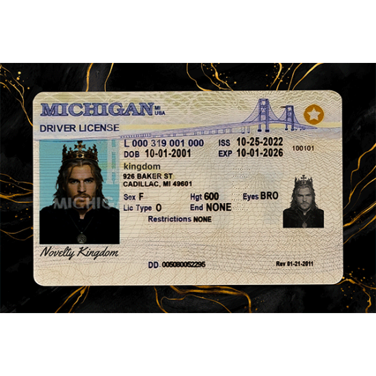 Michigan Fake IDs