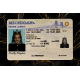 Michigan Fake IDs