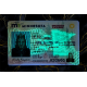 Minnesota Fake IDs