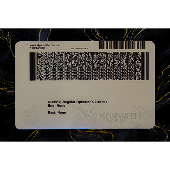 Mississippi Fake Dirvers Licence