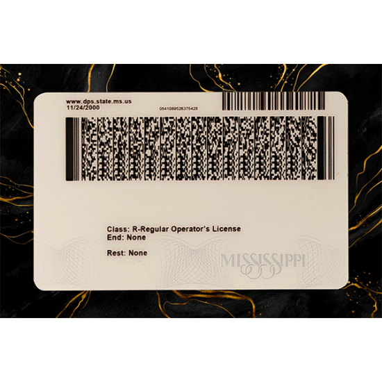 Mississippi Fake Dirvers Licence