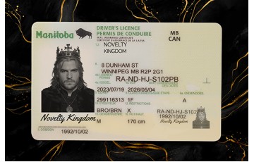 Manitoba Drivers License (2026 Version)