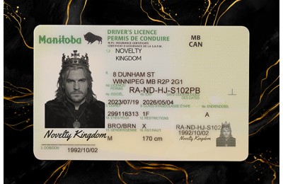 Manitoba Drivers License (2026 Version)
