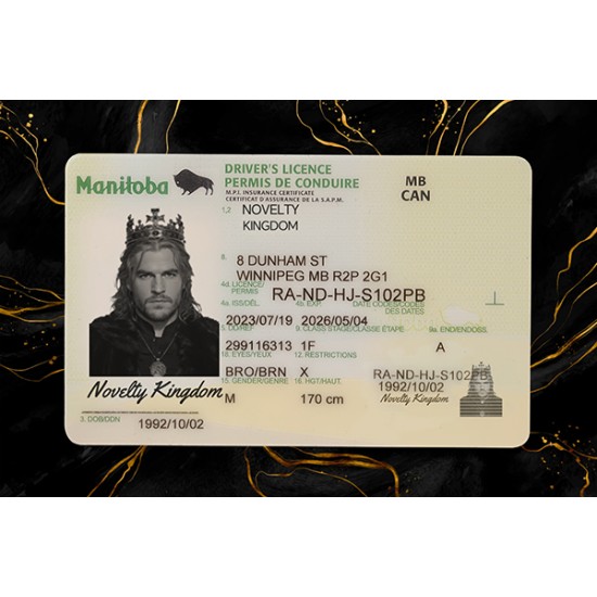 Manitoba Drivers License (2026 Version)