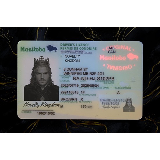 Manitoba Drivers License (2026 Version)