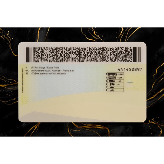 Manitoba Drivers License (2026 Version)