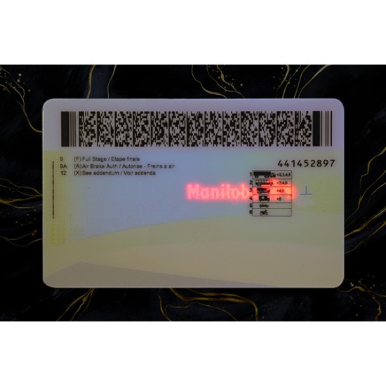 Manitoba Drivers License (2026 Version)