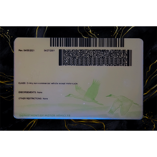 Nebraska Fake Dirvers Licence