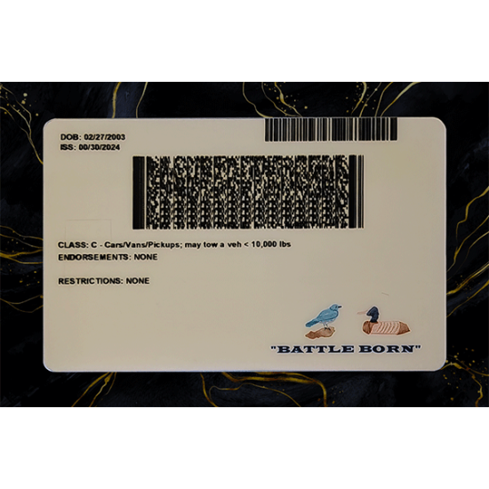 Nevada Fake Dirvers Licence