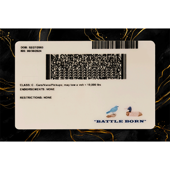 Nevada Fake Dirvers Licence