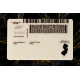 New Jersey Fake Dirvers Licence