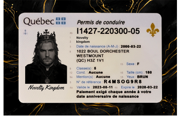 Quebec Fake Dirvers Licence