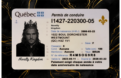 Quebec Fake Dirvers Licence