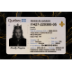 Quebec Fake Dirvers Licence