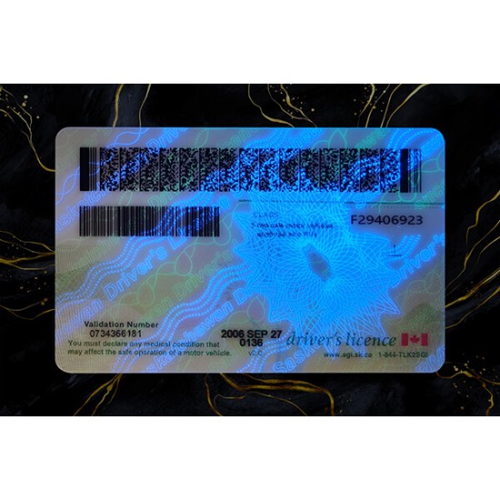 Saskatchewan Fake IDs