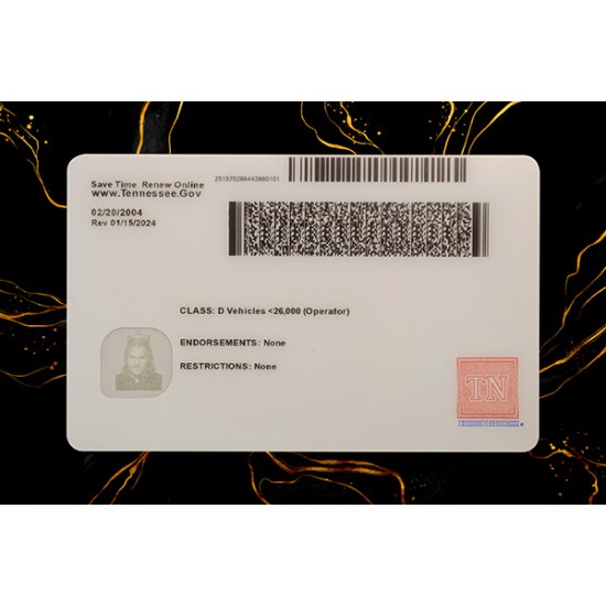 Tennessee Fake IDs (2025 Version)