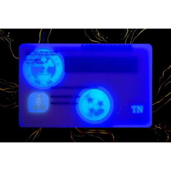 Tennessee Fake IDs (2025 Version)