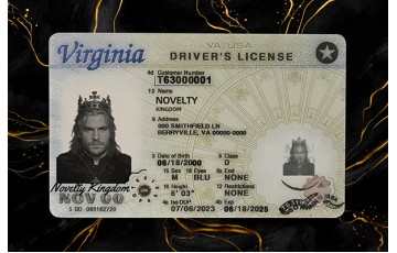 Virginia VIRGINIA FAKE IDS (2025 VERSION)