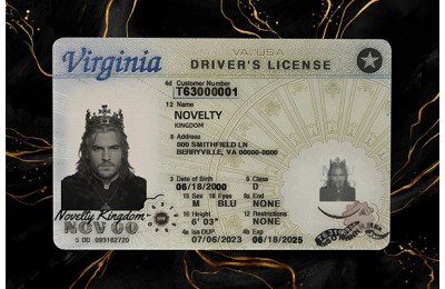 Virginia VIRGINIA FAKE IDS (2025 VERSION)