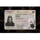 Wisconsin Identification Card (2026 Version丨Not DL)