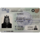 Ohio Fake Dirvers Licence